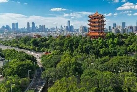 国产麻豆传媒app-国产内容平台的多元性与创新驱动力——麻豆传媒APP的视角