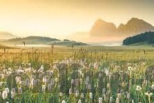 麻豆传媒免费视频-网络迷思与现实边界——解析麻豆传媒免费视频现象