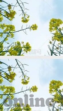 麻豆传媒哪里能下载-