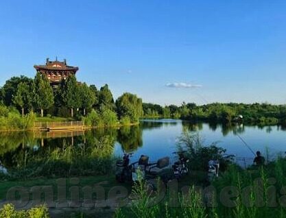 麻豆视频免费高清在线观看-麻豆视频——一键尽享高清观赏的畅快体验