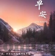 麻豆视频网-麻豆视频网现象，网络文化的另一面镜