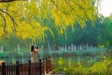 欧美日韩av在线观看-欧美日韩AV在线观看，文化差异与个人选择