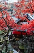 糖心vlog二维码邀请图-解锁不凡·糖心Vlog 探索之旅