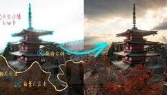 糖心直播官网安全下载-探寻安全的直播世界——糖心直播官网下载指南